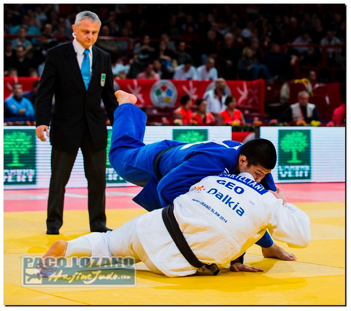 Paris 2014 by P.Lozano cat -90 kg_PLM4296